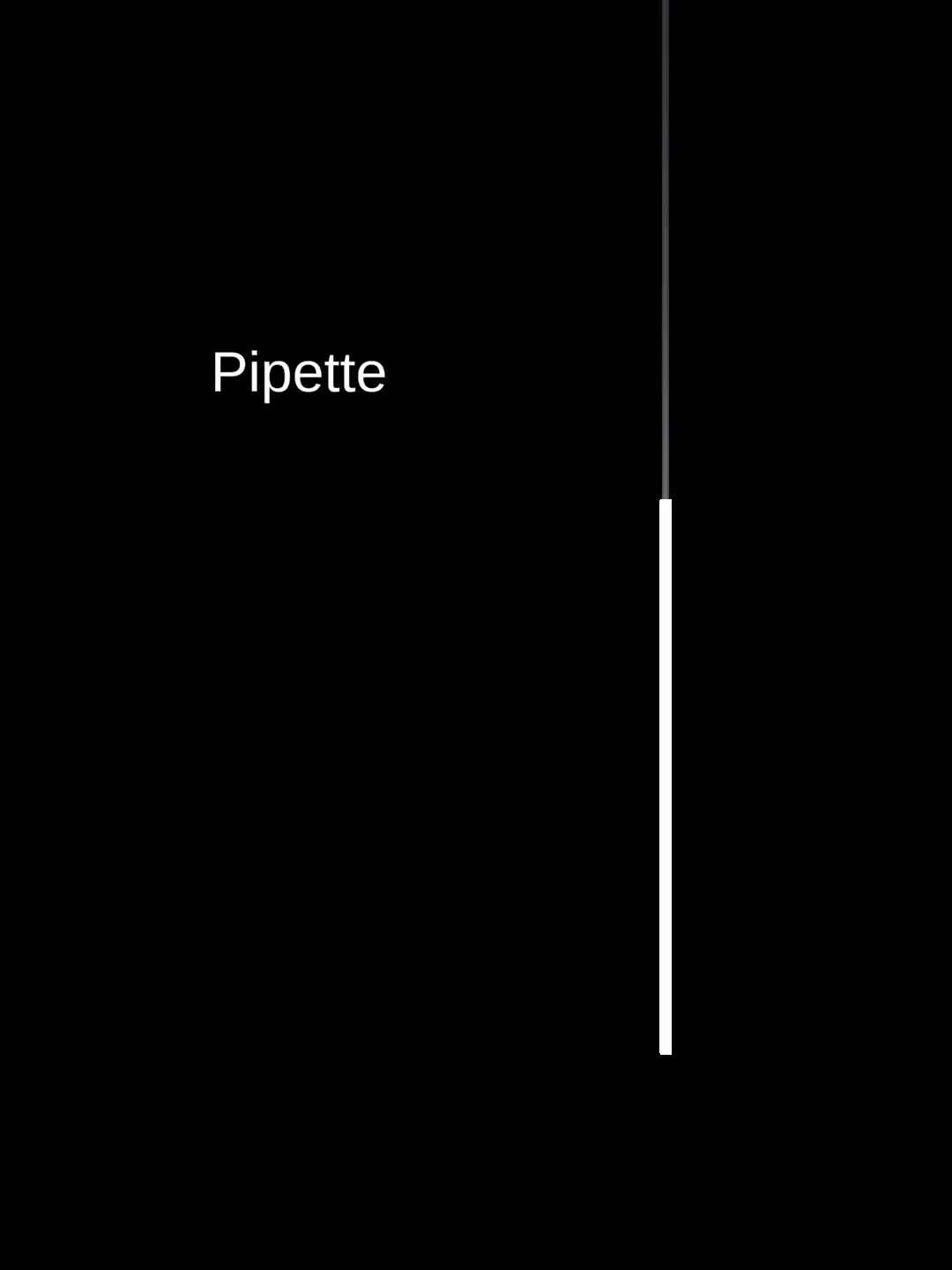 Pipette